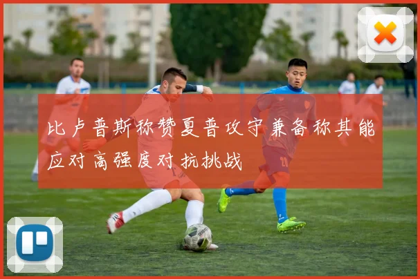 比卢普斯称赞夏普攻守兼备称其能应对高强度对抗挑战