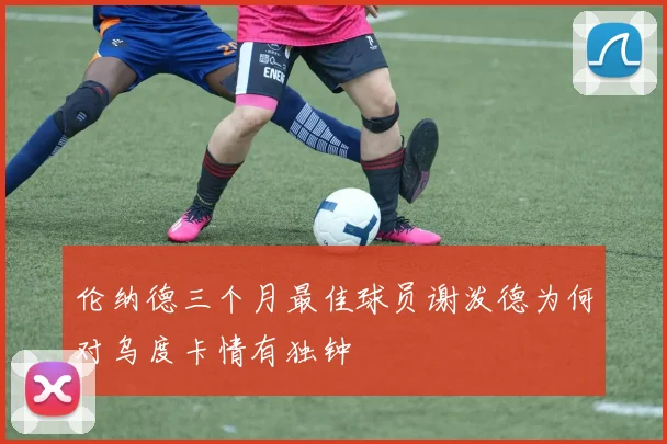 伦纳德三个月最佳球员谢泼德为何对乌度卡情有独钟