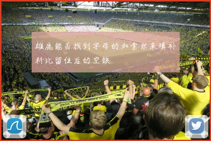 雄鹿能否找到字母的加索尔来填补科比留住后的空缺