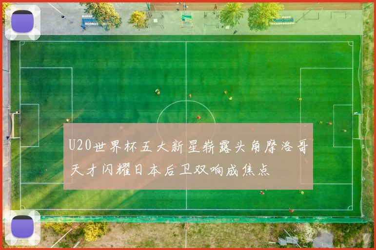 U20世界杯五大新星崭露头角摩洛哥天才闪耀日本后卫双响成焦点