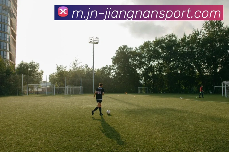 江南体育平台生态图