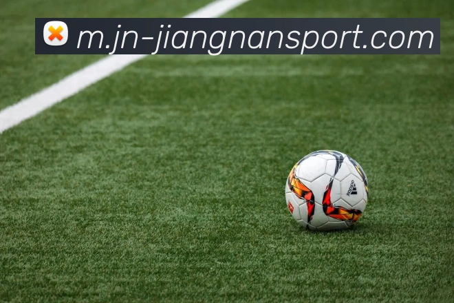 江南体育APP 封面图
